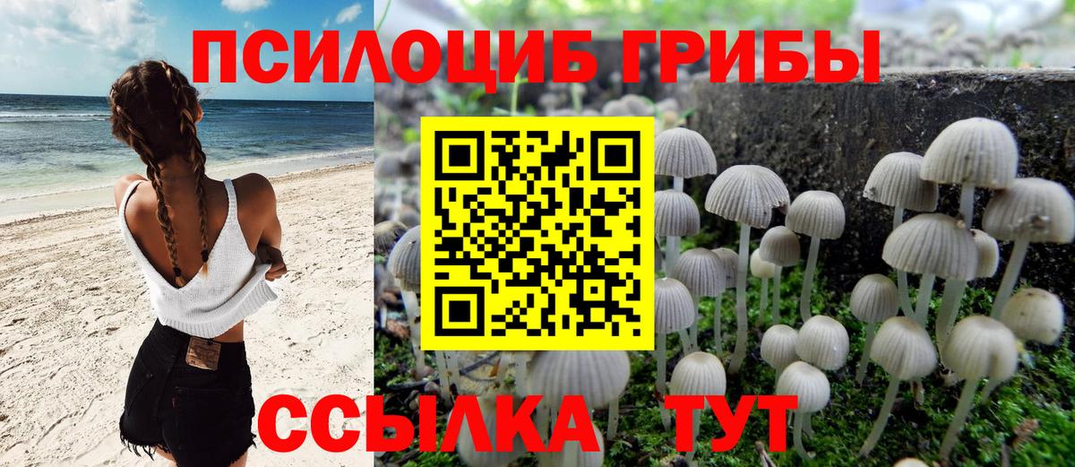Галлюциногенные грибы Psilocybe  Вход с VPN  Павловский Посад  Галлюциногенные грибы мухоморы 